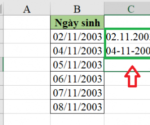 cách định dạng ngày tháng trong Excel